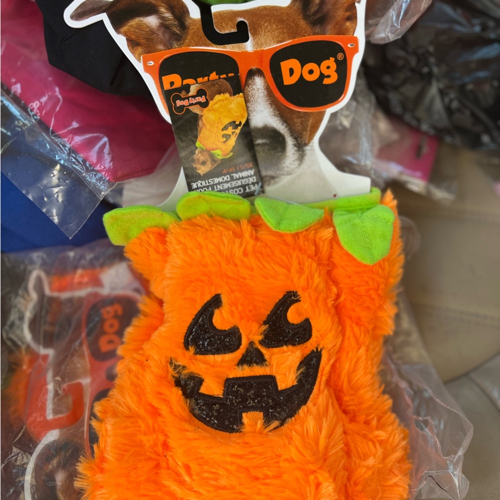 Party Dog Pumpkin Costume New !!